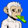 apes-on-apechain