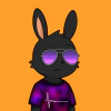 rabbits