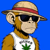 apes-on-apechain