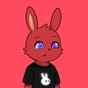 rabbits