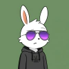 rabbits