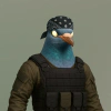 feather-syndicate