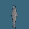 fishies