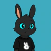 rabbits