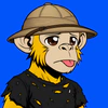 apes-on-apechain