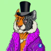 typical-tigers