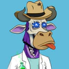 lazy-bull-club-2