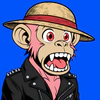 apes-on-apechain