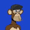 apes-on-ape