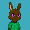 rabbits