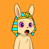 rabbits