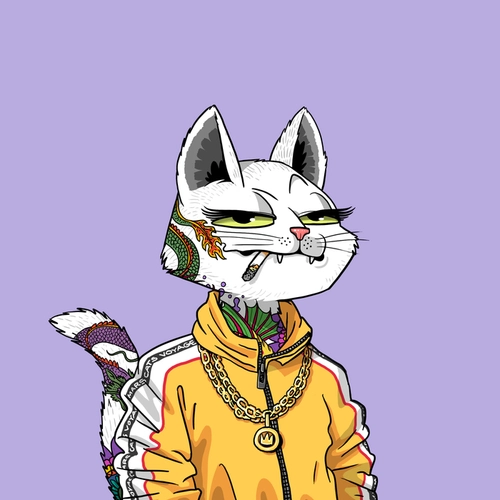 Token #8004