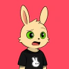 rabbits