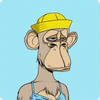 Bored Ape Yacht Club #2502