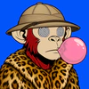 apes-on-apechain