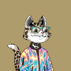 marscatsvoyage-ape