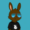 rabbits
