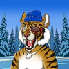 typical-tigers