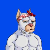 alpha-dogs