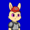 rabbits