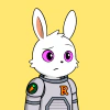 rabbits