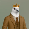 feather-syndicate