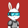 rabbits