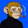 apes-on-apechain