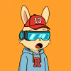 rabbits