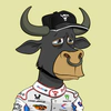 lazy-bull-club-2