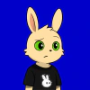 rabbits
