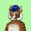 typical-tigers