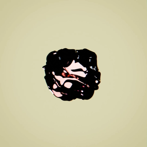 Token #248
