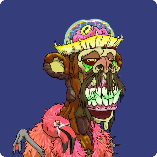 Token #237