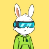 rabbits