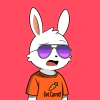 rabbits