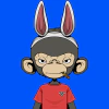 timmy