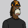 horse-club