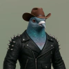 feather-syndicate