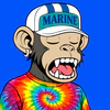 apes-on-apechain