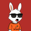 rabbits