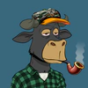 lazy-bull-club-2