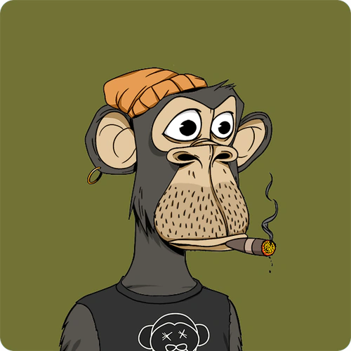 Token #493