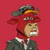 lazy-bull-club-2