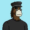 horse-club