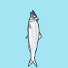 fishies