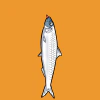 fishies