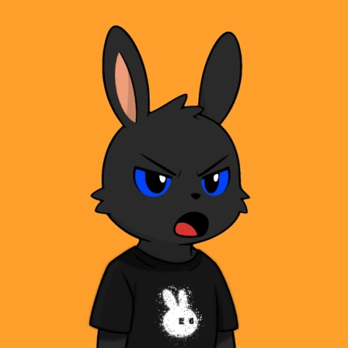 Token #507