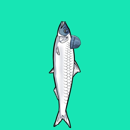 Token #1113