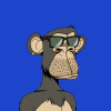 apes-on-ape